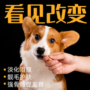 新品狗狗零食火腿肠低盐小型犬训练奖励泰迪N金毛柯基宠物专用香