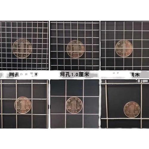 极速大孔镀锌铁丝k网玉米网养鸡护栏网围墙防护隔离铁网5厘米孔电