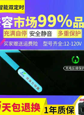 极速电动车充电器48vl12ah20ah60v72v80v96v通用七巧板力之星千鹤