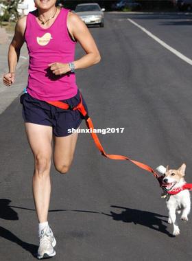 极速New waist petm dog leash running jogging puppy dog lead