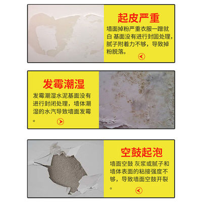 新品涂丽芳TLFj1034墙固墙地面高渗透水泥基防起灰抗碱潮强力固化