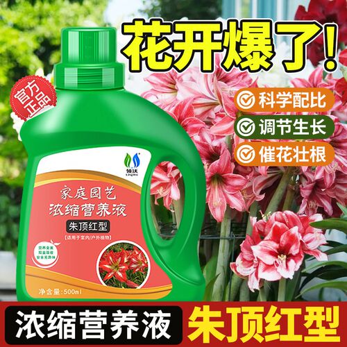 速发朱顶型专卉营养液家用农用室内外花用绿植植物通用红肥料治黄
