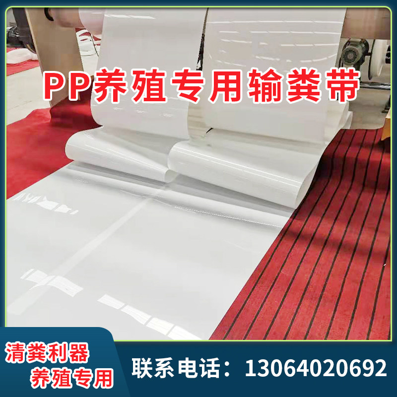 速发全自动养殖设备清粪机PPP送带鸡鸭鸽子鹌鹑清粪设粪耐磨P输清