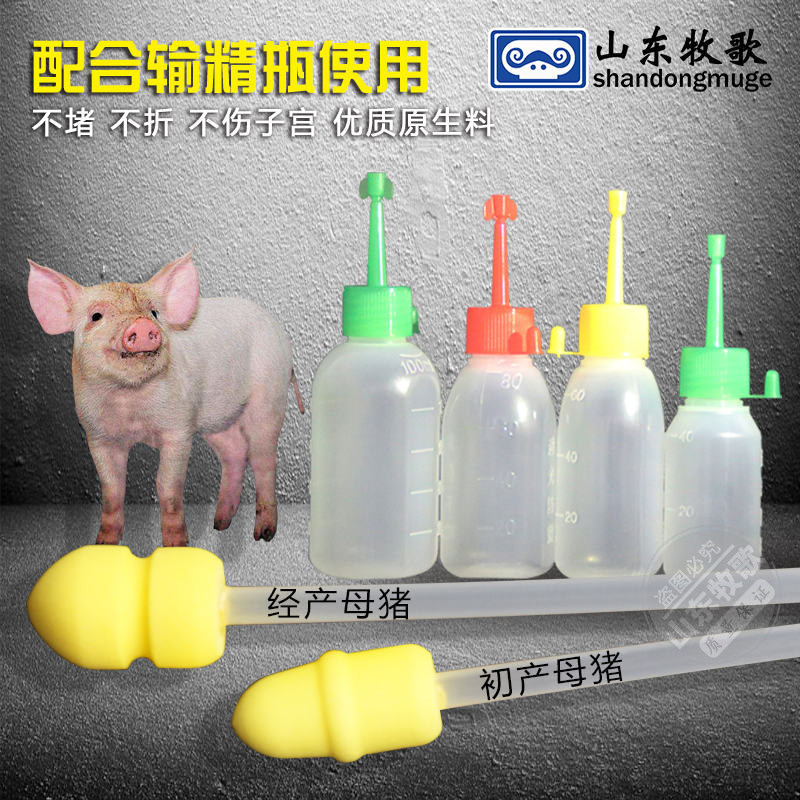 速发猪用人工受精管 精品输精管瓶套装一次性输精管 猪场授精设备