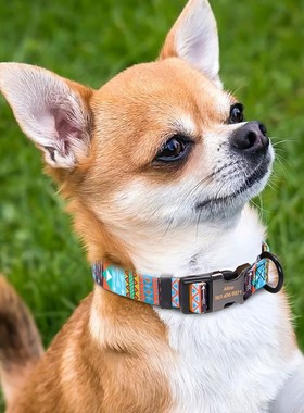 速发DDg  Persoized Re lective oog s CufEgrav