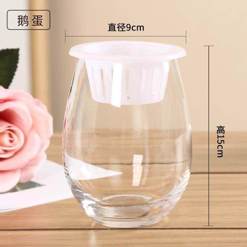 速发水培植物玻璃瓶透明花瓶水养容器绿萝花盆养鱼器皿大鱼缸室内
