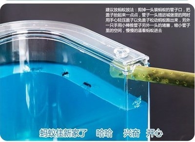 速发园具牧场庄玩别墅农场家园窝蚂蚁工坊带扩展送盒蚁后实用简约