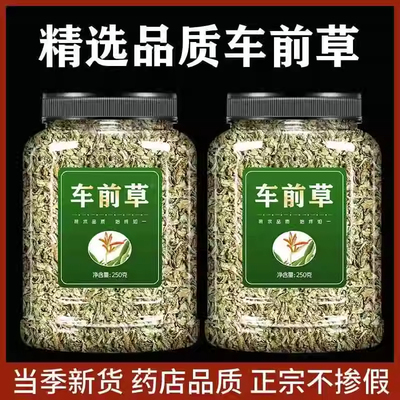车前子草500g中药材官方旗