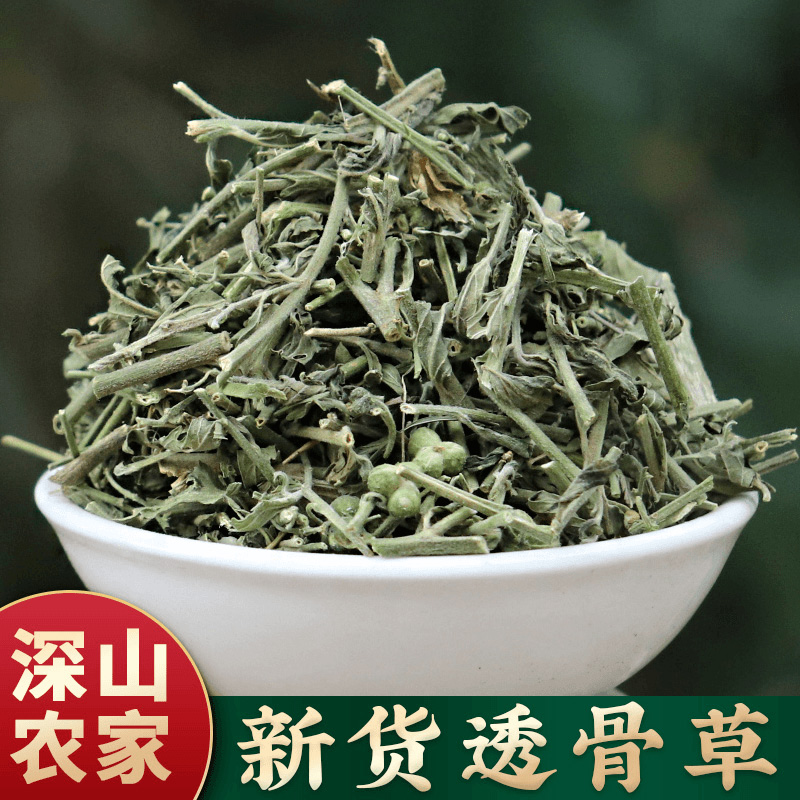 透骨草中药材正品官方旗舰