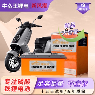 锂电池磷酸铁锂国轩电芯系列电动车电池60V72V电池九号小牛