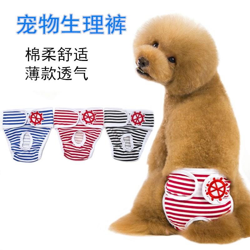 宠物狗狗生理裤棉质薄款透气经期卫生裤母泰迪柯基安全防骚扰裤子