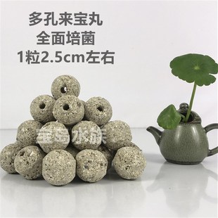 台湾NO1滤材鱼缸过滤材料硝化细菌屋来宝丸水族滴流陶瓷环石英球