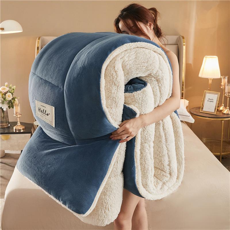Thickened quilt in winter woollen blanket nice and warm跨境