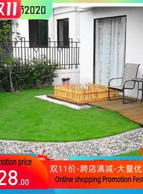 1000g/bag Tall Fescue Grass Seed Festuca arundinac跨境新加坡