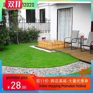 1000g/bag Tall Fescue Grass Seed Festuca arundinac跨境新加坡