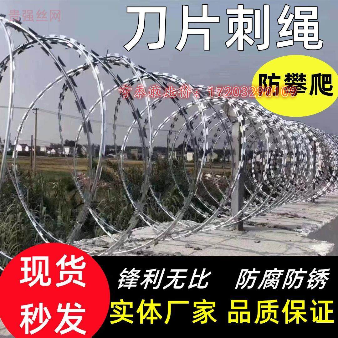 刀片刺绳不锈钢滚笼防锈防护网刺网带刺铁丝防盗防爬刺围墙防爬网图片