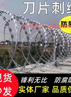 刀片刺绳不锈钢滚笼防锈防护网刺网带刺铁丝防盗防爬刺围墙防爬网