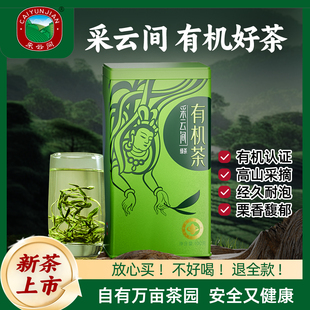 2025新春綠茶茶葉采云間有機茶無農殘零添加更放心送禮自飲鐵罐裝