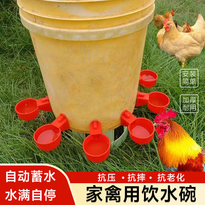 速发养鸡用自动饮水器鸡鸭鹅饮水碗喝水碗鹌鹑家禽鸟喂水神器雏芦
