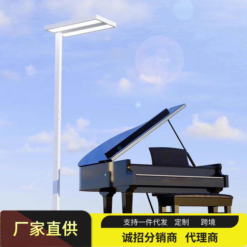 双旋钮护眼大路灯全光谱钢琴补光落地护眼练琴学生专用儿童学习灯