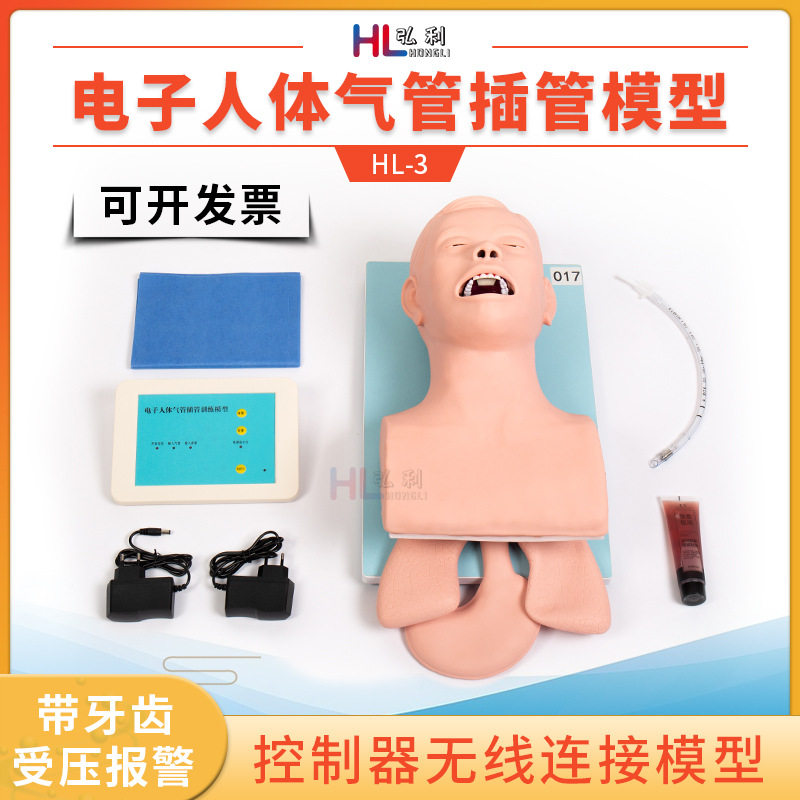 高级成人气管插管训练模型