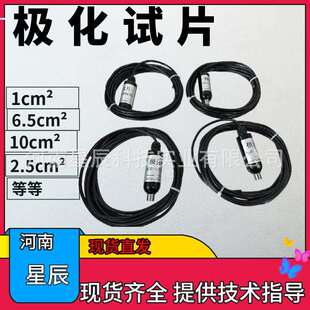 直流电流极化试片标准腐蚀试片(80号钢片)阴极保护检查片6.5mm2