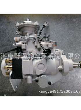 喷油泵22100-1C190196000-2641-2640和096000-678122100-17310