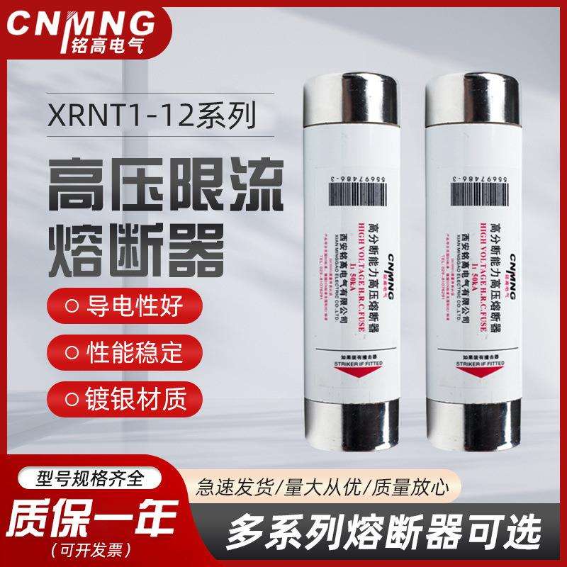 3.6-12KV/XRNT非标XRNP1-12KV/0.5A-10A高压熔断器51*195PT手车用