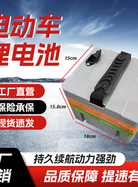 星恒天能同款厂家直销雅迪台铃爱玛新国标电动车48v20ah锂电池