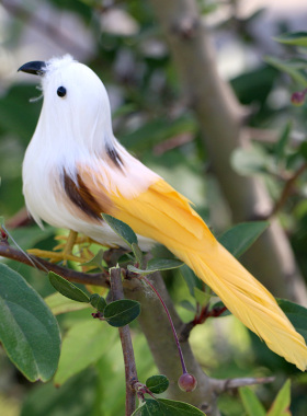 仿真小鸟彩色羽毛鸟摆件鸟v笼装饰假鸟摄影装饰喜鹊麻雀小鸟仿真