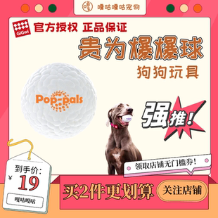 贵为爆爆球狗狗玩具巡回追逐互动玩具耐咬安全宠物户外神器宠物球