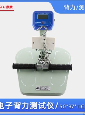 电子背力计 背力计  测试仪  型号:BCS-400 测试腰背部肌肉力量