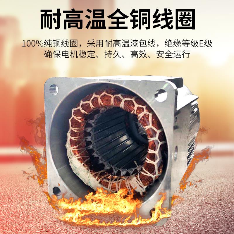 180W200W250W300W220V交流齿轮调速/减速电机6IK250RGN-CF马达