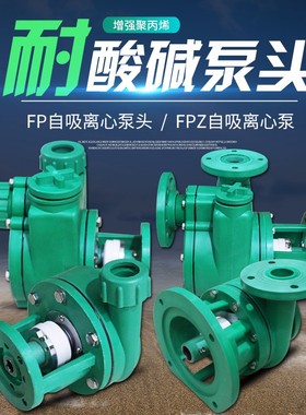 FP/FaPZ增强聚丙烯耐腐蚀耐酸碱化工泵泵头自吸离心泵头40/50/100