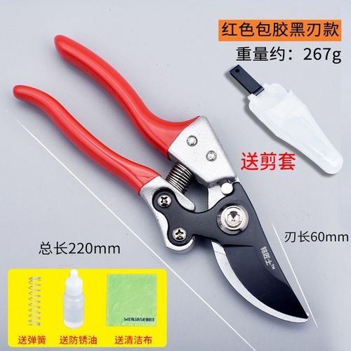 德国精工sk5果树剪树枝专用剪刀粗枝花剪修枝剪家用园艺省力修花