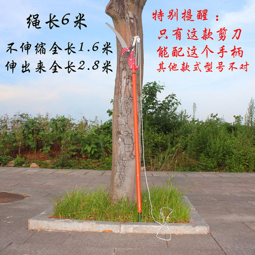高枝剪高空剪树枝剪采果剪 摘采果修枝剪刀树枝剪可伸缩加长杆剪