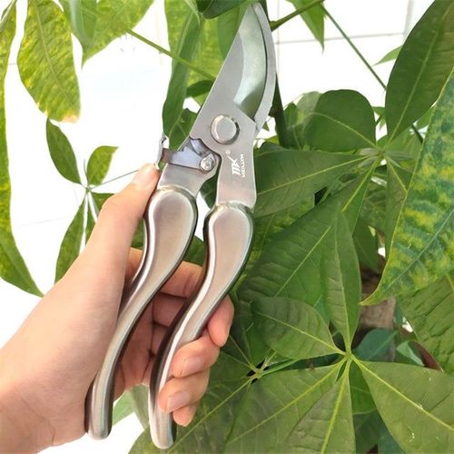 不锈钢修枝剪刀粗枝省力摘果树修剪刀树枝修剪树剪子多功能修枝剪