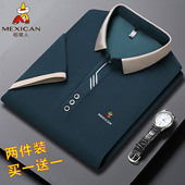 短袖 T恤男款 男士 宽松休闲爸爸刺绣翻领上衣半袖 POLO衫 稻草人夏季