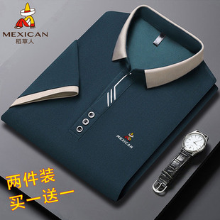 稻草人夏季短袖男士POLO衫宽松休闲爸爸刺绣翻领上衣半袖T恤男款