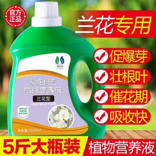 速发营养液兰君专用肥室内外兰科植物花子兰墨促蝴蝶兰兰花箭绿叶