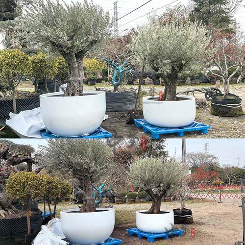 玻璃钢户外大口径种树圆组合80形盆花箱广公共区域园场林公花园学