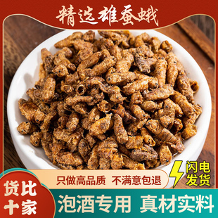 雄蚕蛾中药材正品纯公蚕蛾晚蚕蛾未交配新货蚕蛾粉官方旗舰泡酒料