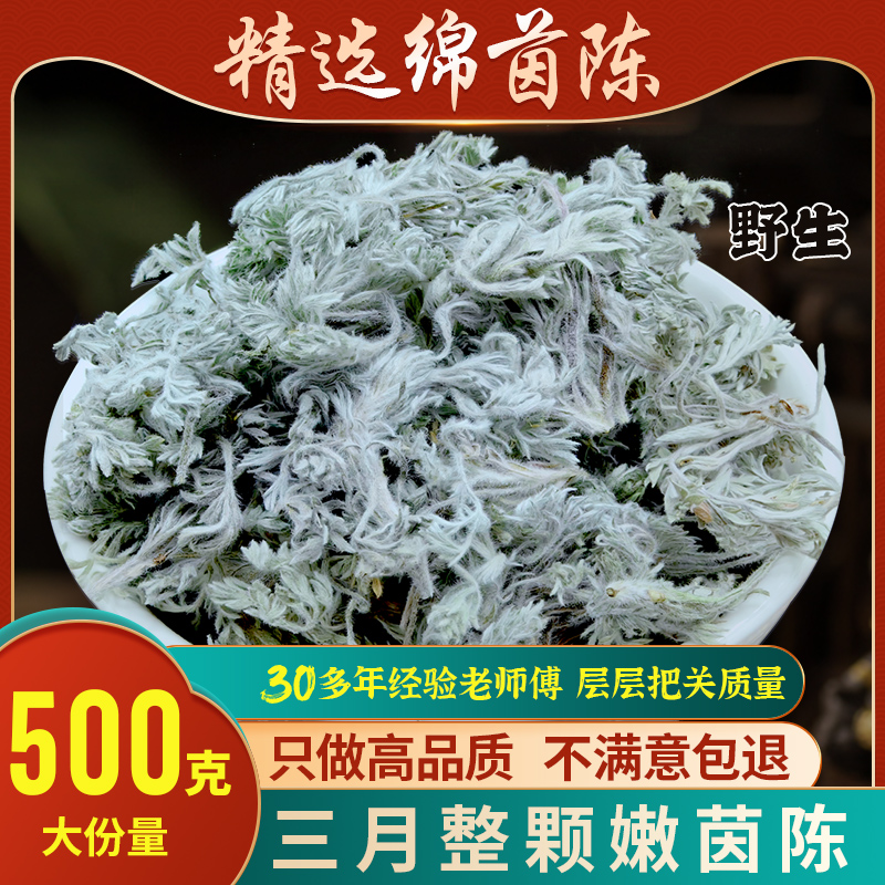 野生棉茵陈中药材三月新鲜白蒿干茶草药棉因陈棉菌陈蒿泡水新鲜