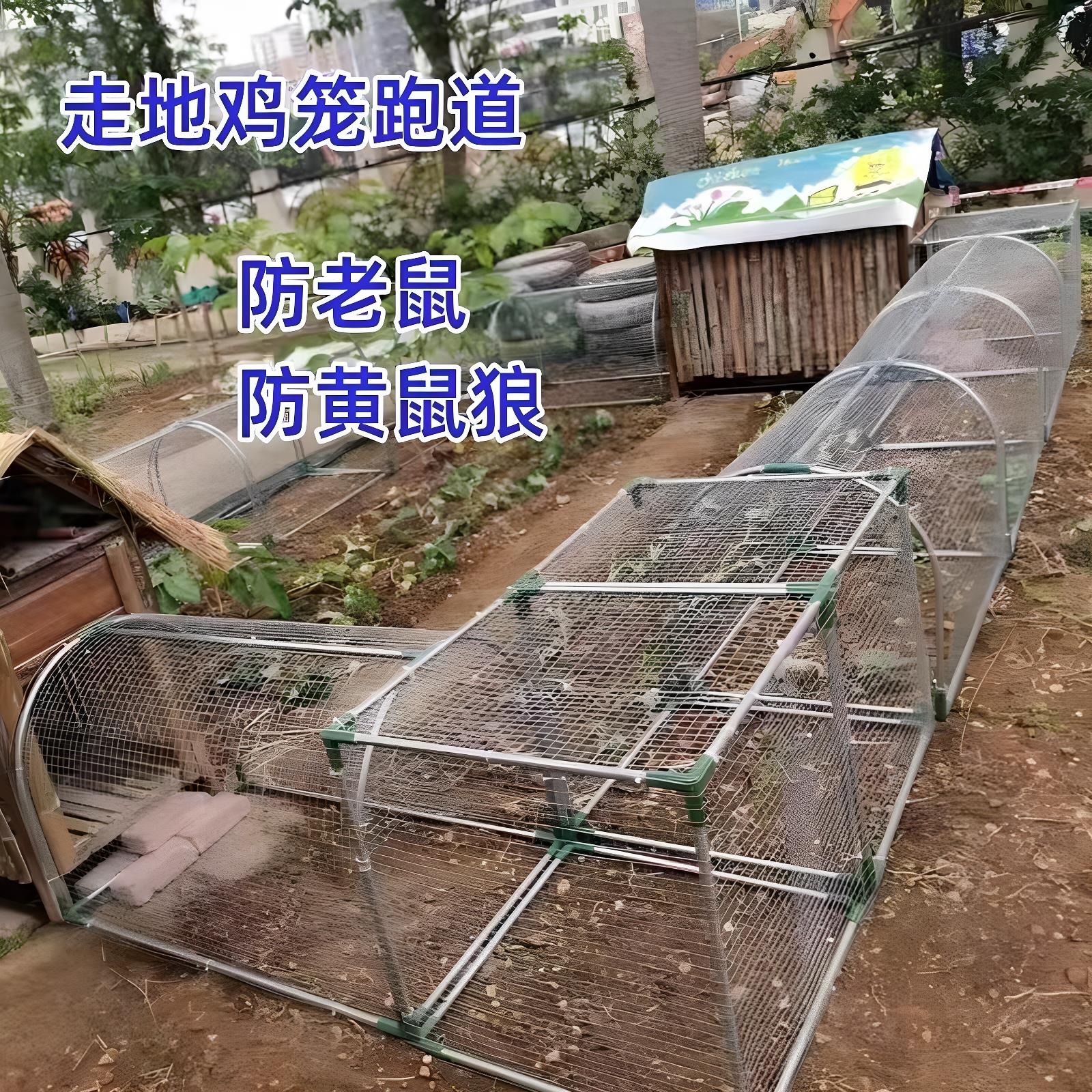 铁丝网鸡笼跑道养鸡隧道笼子农场室外大号养鸡笼庭院农家用散养鸡