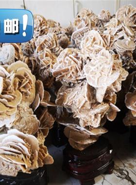 极速精品沙漠玫瑰原石摆件矿物晶体奇石观赏石Q原石自定制然