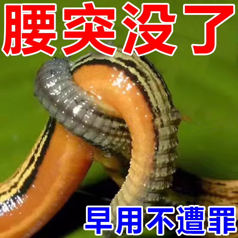 极速【万人腰不疼】腰椎凸出x椎间盘膨出腰痛腿麻压迫坐骨神经屁