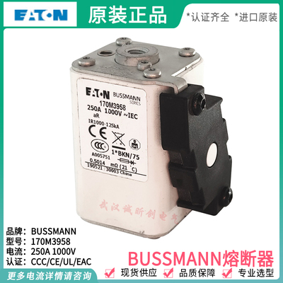 极速ETN熔断器 170M3955-3956 170M3957 170M3958 170TM3959 170M