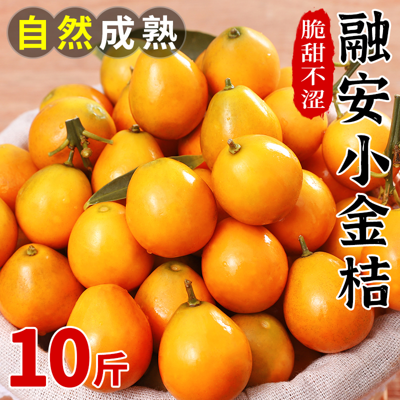 广西脆皮金桔鲜果10小金橘子斤新鲜水果融安应当季蜜金柑整箱包邮