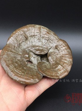 新品小铜件实心铜灵芝茶盘摆件仿真长寿寓意小灵芝把W件蘑菇工艺