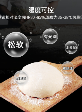 新品新南方FX-28B商用不锈x钢发酵箱包子馒头面包披萨酸奶发酵机